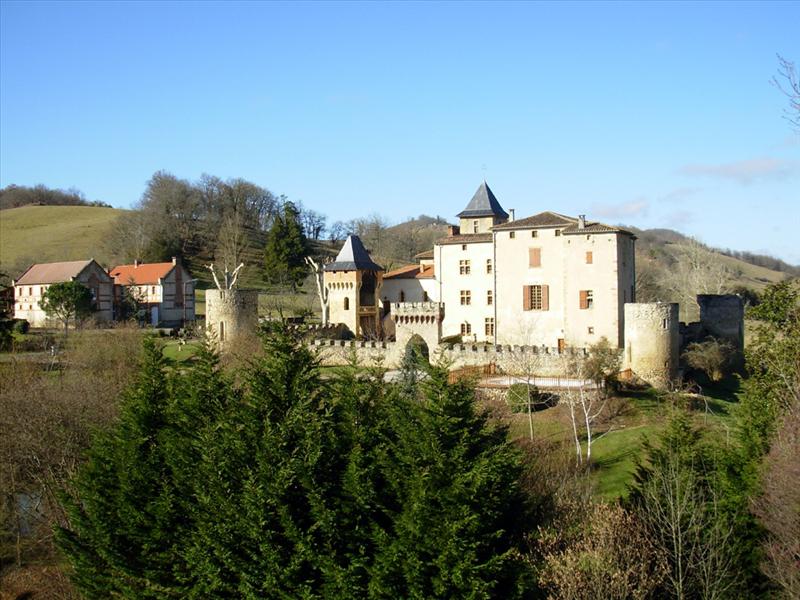 Château de la Hille_09120 MONTEGUT-PLANTAUREL_2
